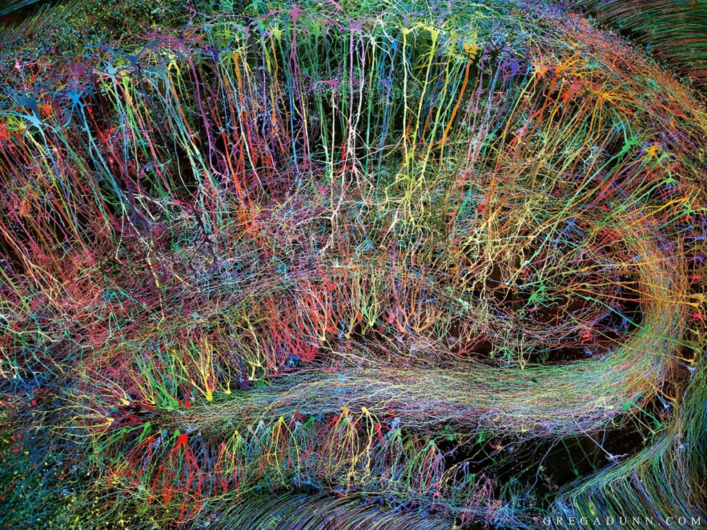 Brain Art Postcards - GREG DUNN NEURO ART